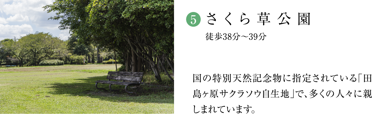 (5)さくら草公園（徒歩38分〜39分）